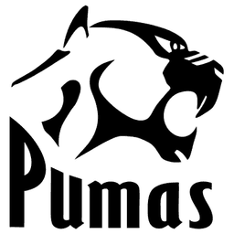 New Zealand All Blacks